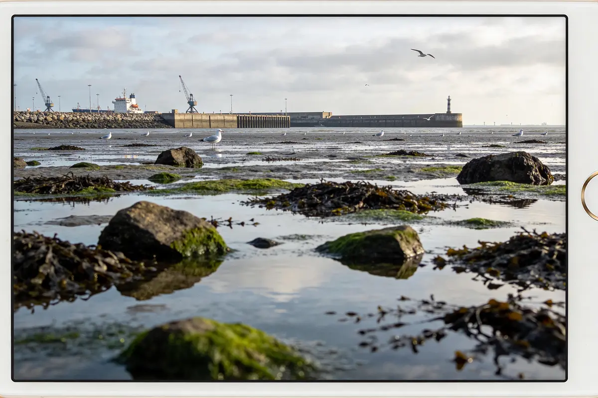 Marée Le Havre : Horaires, Coefficient et Activité Marin !