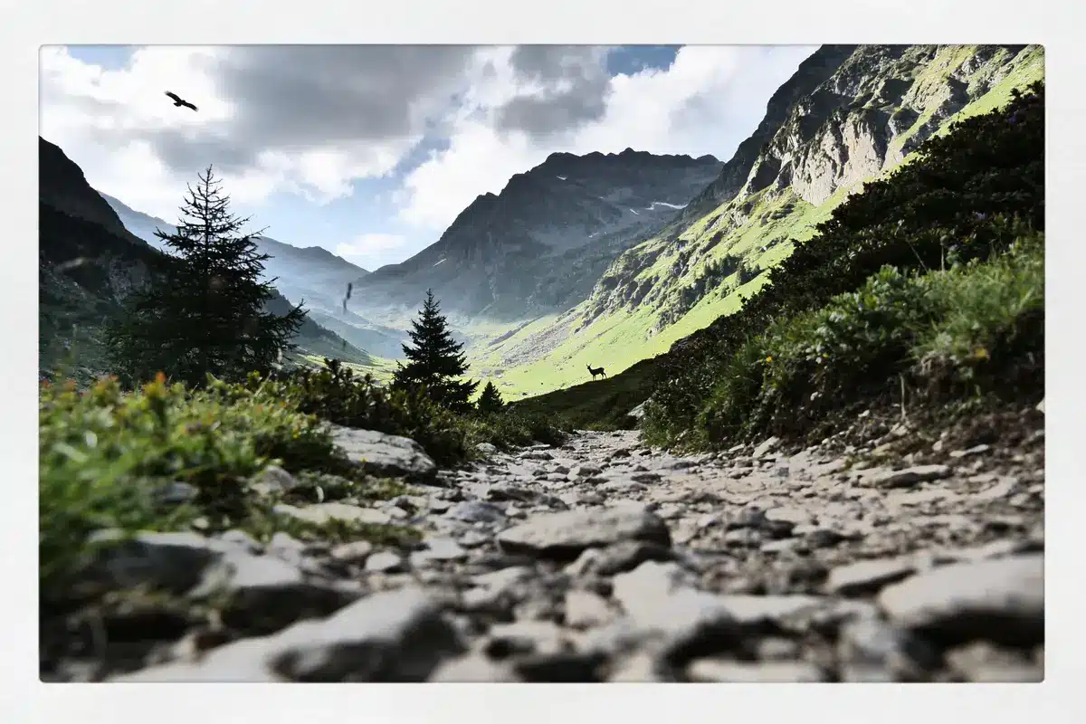 Vallée d’Aspe : Quelle est la meilleure randonnée à découvrir ?