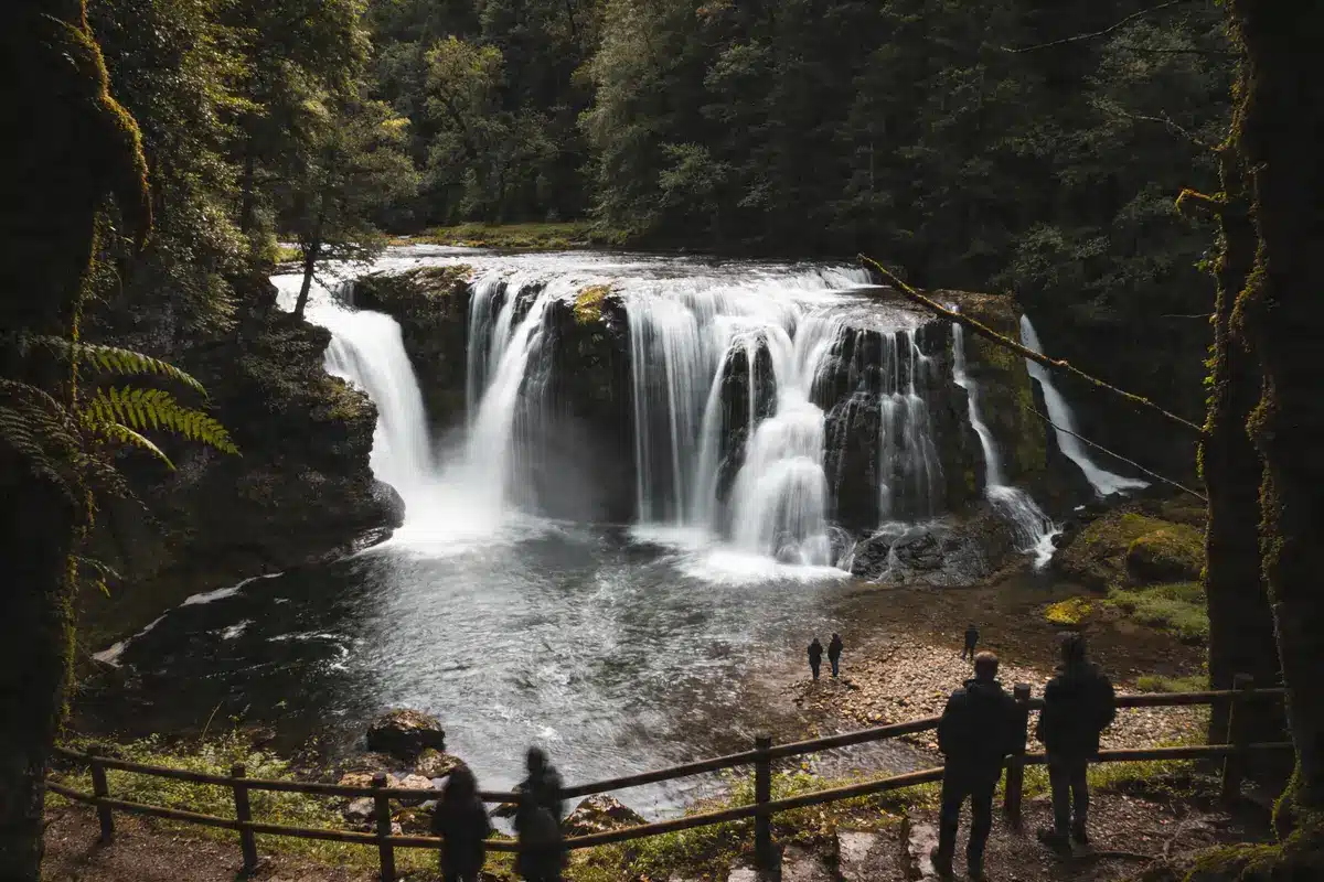 Chute d'eau entourée de forêt dense, personnes observant depuis un sentier en contrebas.