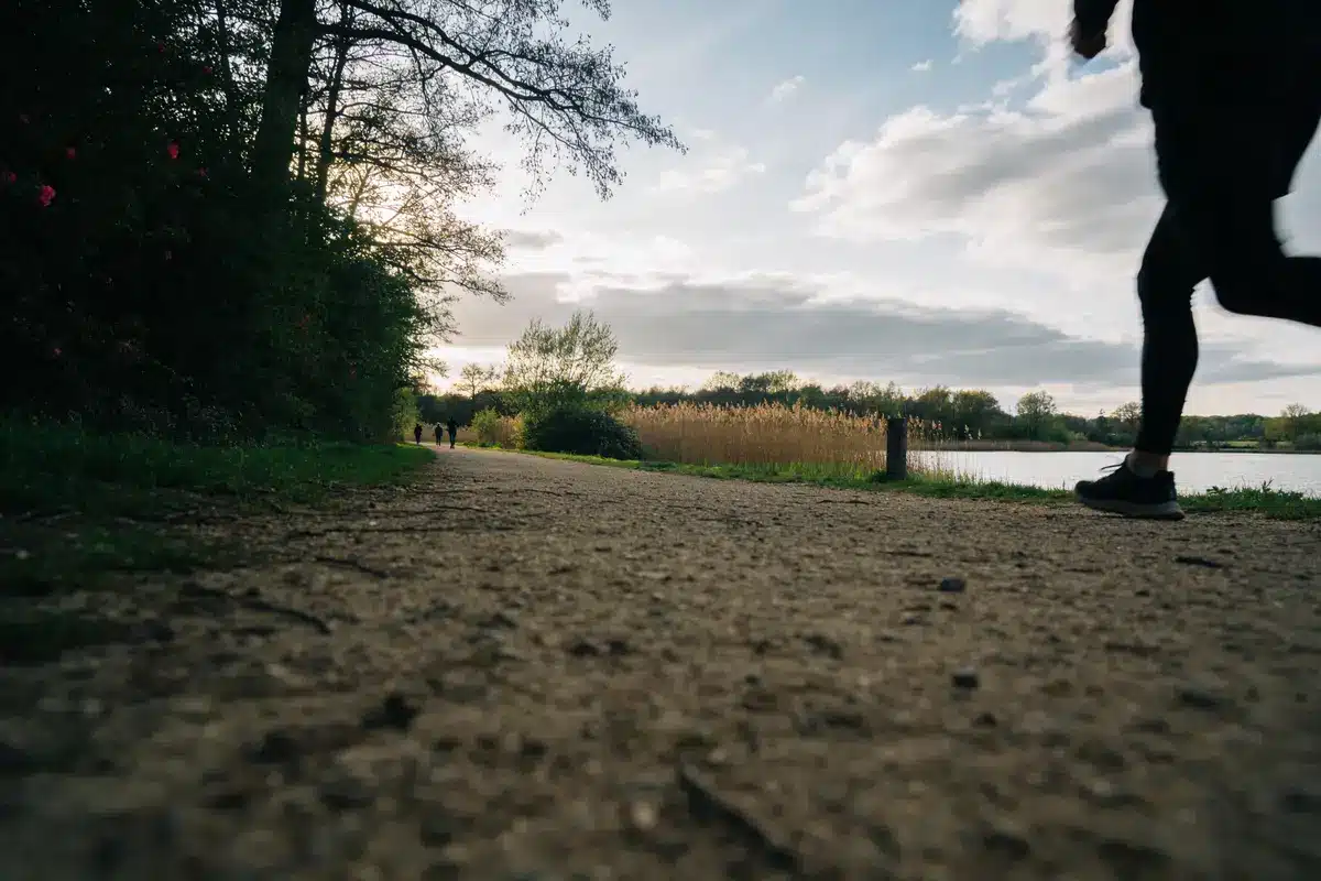 Lac du Héron : Découvrez les meilleurs sentiers de randonnée !