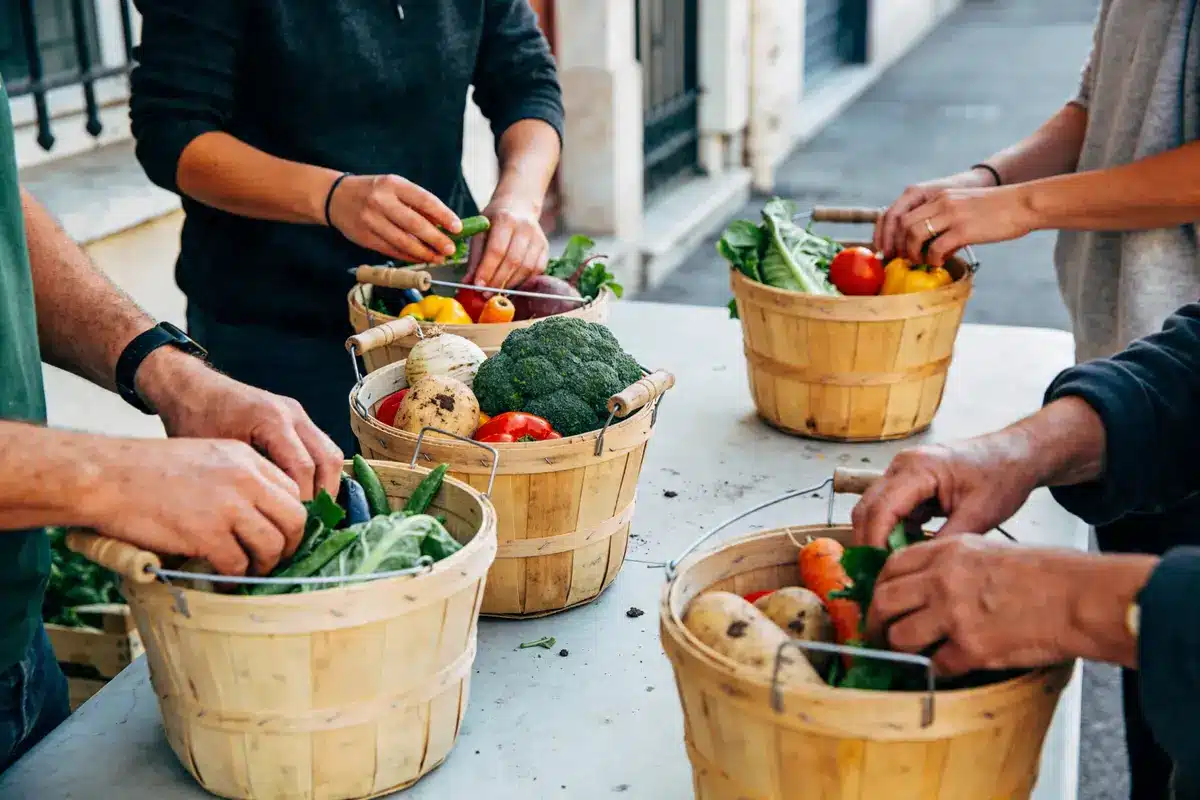Les paniers de Marseille : Découvrez une économie locale!