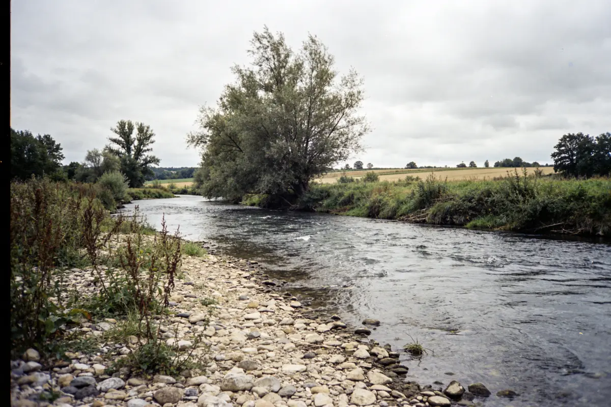 Rivière bordée de pierres et végétation, arbres, ciel nuageux, paysage champêtre.